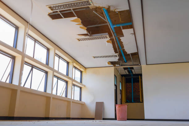 Best Flooded house restoration  in Corralitos, CA