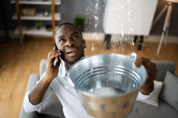 Best Flood damage cleanup  in Corralitos, CA