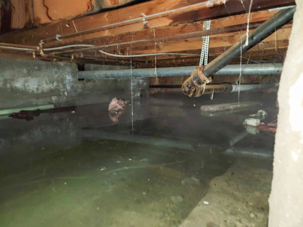 Best Flood damage cleanup  in Corralitos, CA