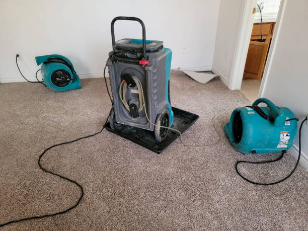 Best Ceiling water damage repair  in Corralitos, CA