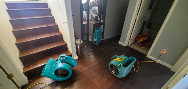 Best 24/7 water damage repair  in Corralitos, CA
