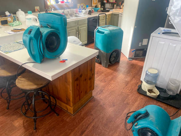 Best Residential water damage restoration  in Corralitos, CA