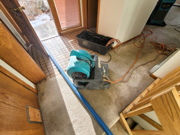 Best Commercial water damage restoration  in Corralitos, CA