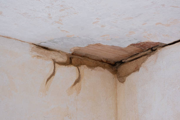 Best Water damage restoration near me  in Corralitos, CA
