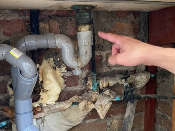 Best Local water damage restoration  in Corralitos, CA